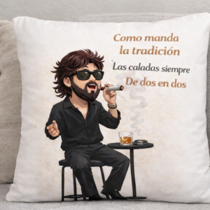 Cojín Carnaval Los calaitas