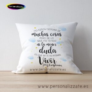 Cojín muchas cosas