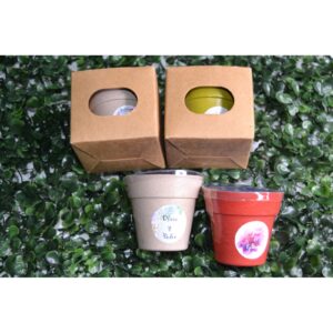 Maceta con Semillas de Petunia en Macetero Biodegradable