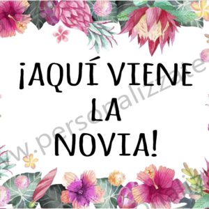 Cartel indicativo Waterviolet