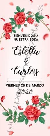 Xbanner Didier personalizado 1,60mx60cm