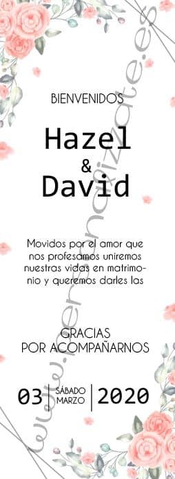 Xbanner Julia personalizado 1,60mx60cm