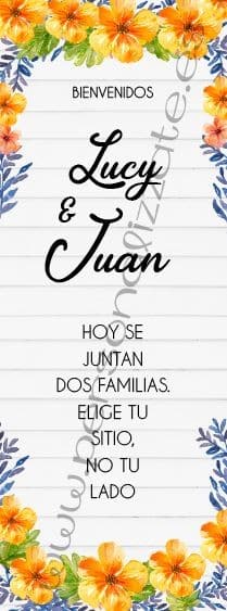 Xbanner Lys personalizado 1,60mx60cm
