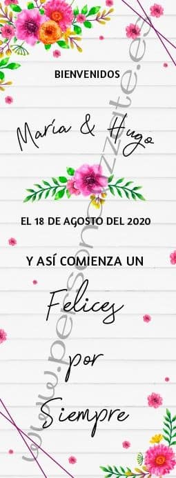 Xbanner Brice personalizado 1,60mx60cm