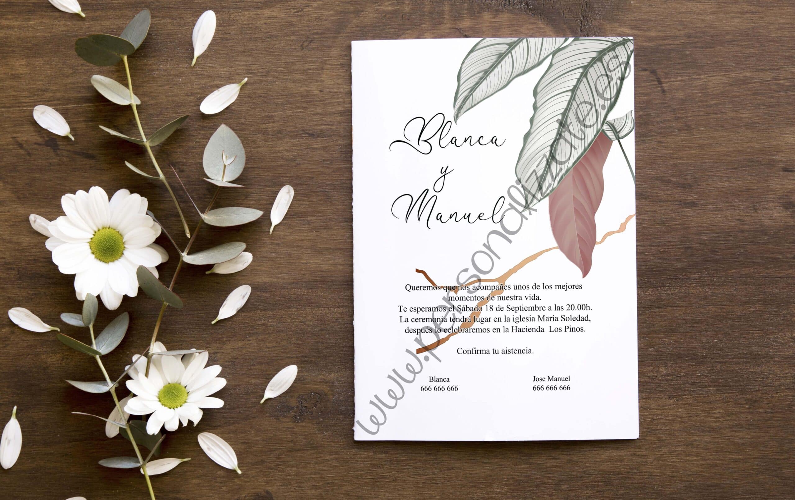 Invitación Orlena