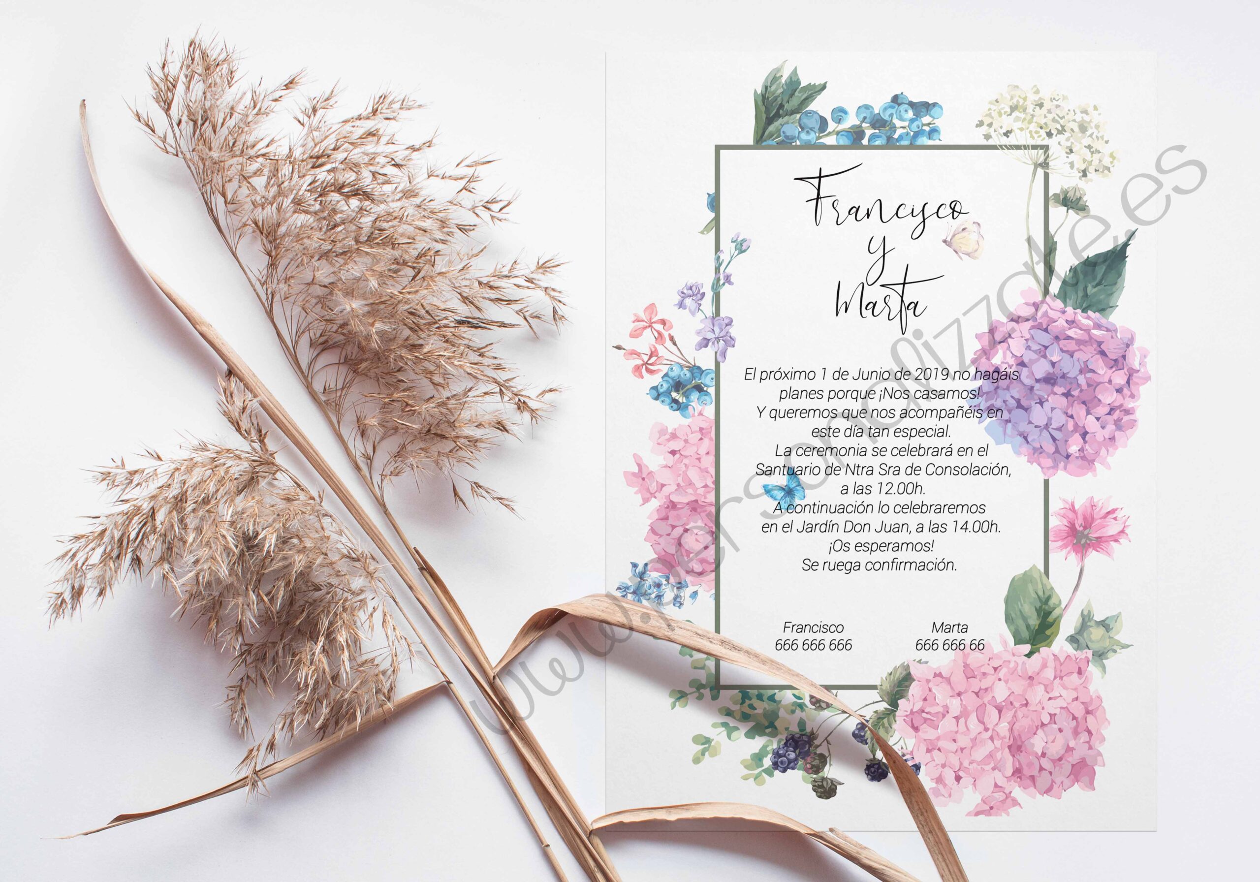 Invitación Pratizia