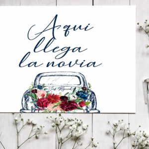 Cartel indicativo Favio