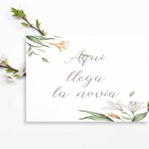 Cartel indicativo Lirica