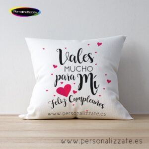 Cojín vales mucho