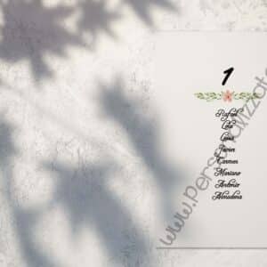 Seating plan Cerezo