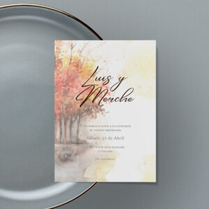 Invitación de Boda Amodeo